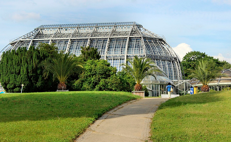 Jardim-Botânico-de-Berlim 20 lugares para conhecer em Berlim