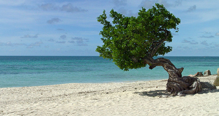 caribeeee Guia de Viagem: as melhores praias do Caribe